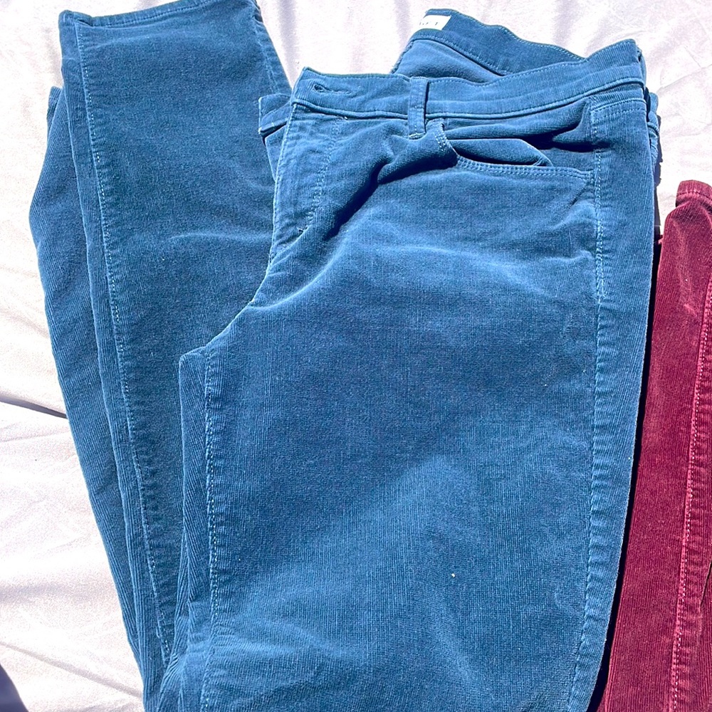 Women’s cords LOFT